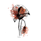 Coquelicot stylis&eacute; sur fond aquarelle
